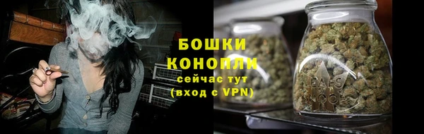 сатива Михайловск