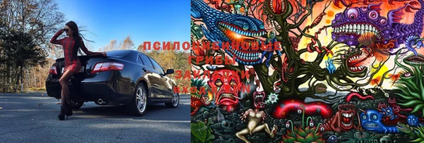 дмт Михайлов