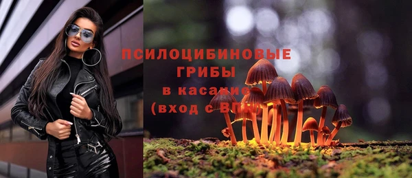 прущие грибы Болохово