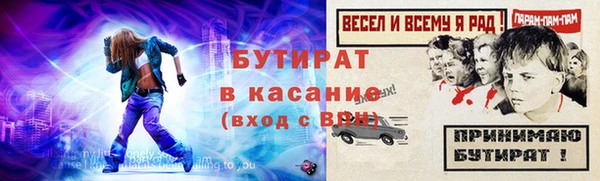 прущие грибы Болохово