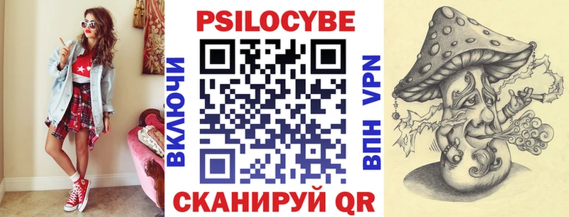 Псилоцибиновые грибы Psilocybine cubensis  Шатура 