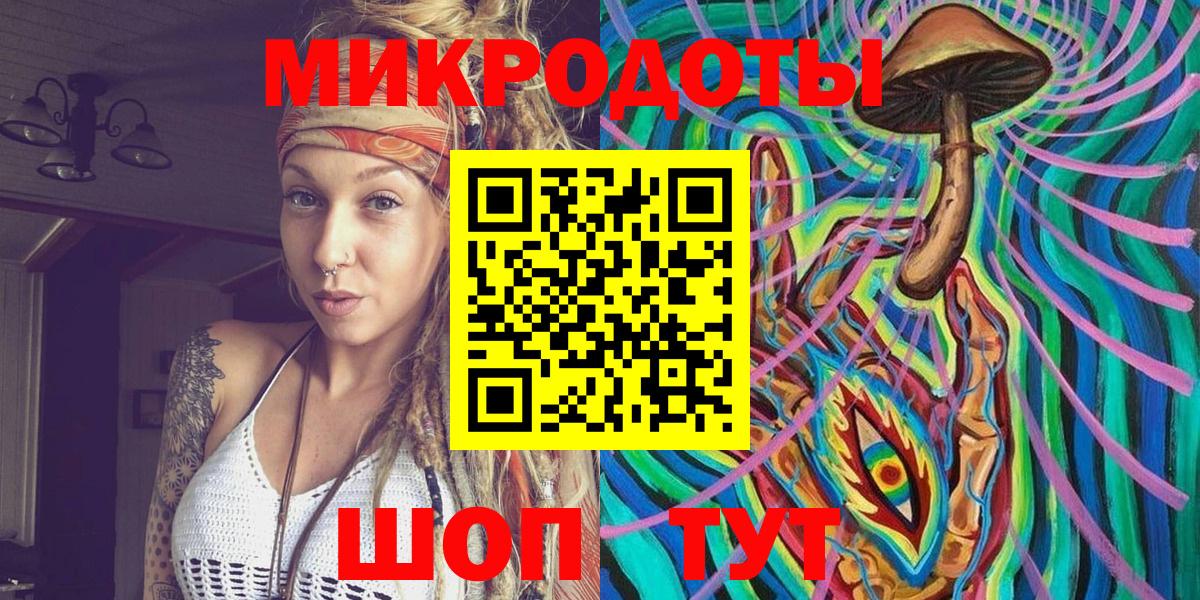 Галлюциногенные грибы Psilocybine cubensis Шатура