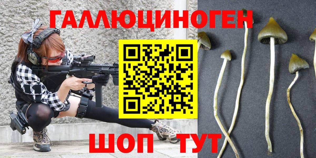 Героин Шатура