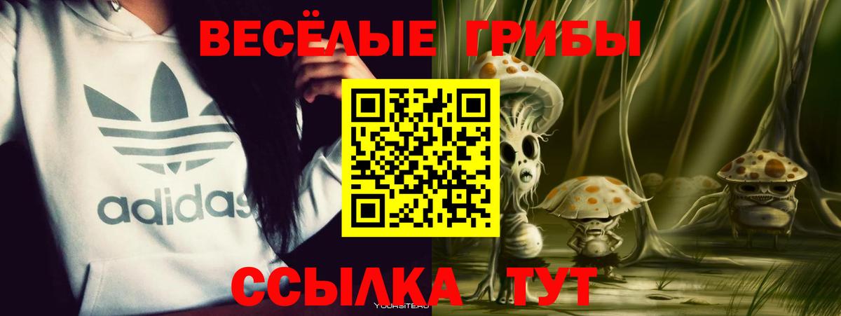 Псилоцибиновые грибы Psilocybine cubensis  Вход с VPN  Шатура 